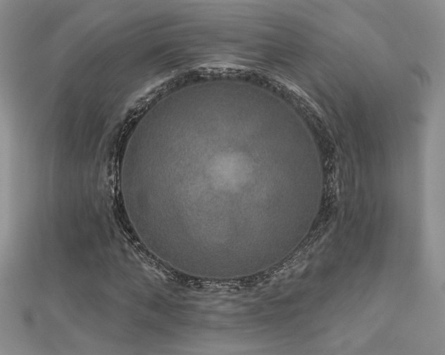 X0000113180870200909041341