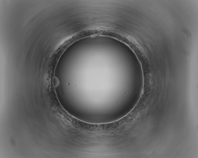 X0000113180872200909041341