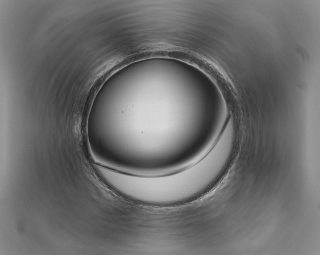 X0000113180873200909041341