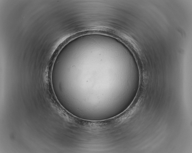 X0000113180875200909041341