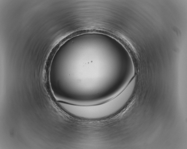 X0000113180876200909041341