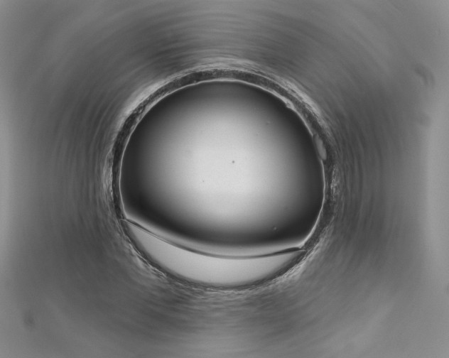 X0000113180877200909041341