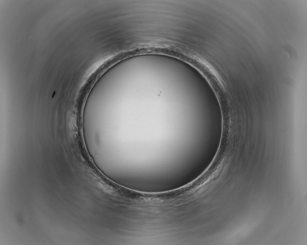 X0000113180878200909041341