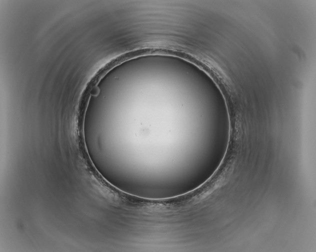 X0000113180880200909041341