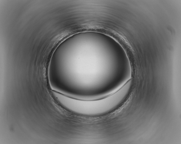 X0000113180881200909041341