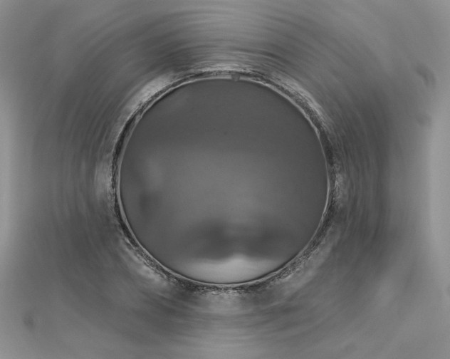 X0000113180882200909041341