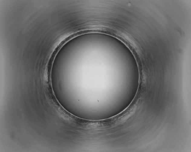 X0000113180883200909041341