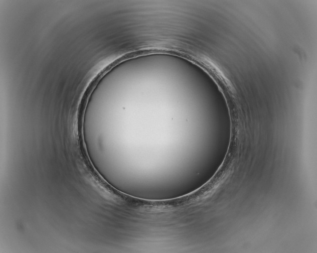 X0000113180884200909041341