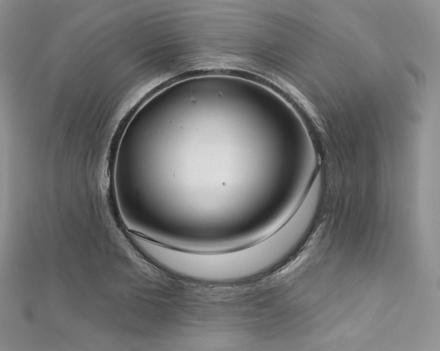 X0000113180885200909041341