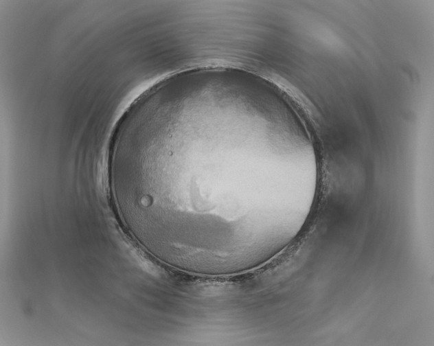 X0000113180886200909041341