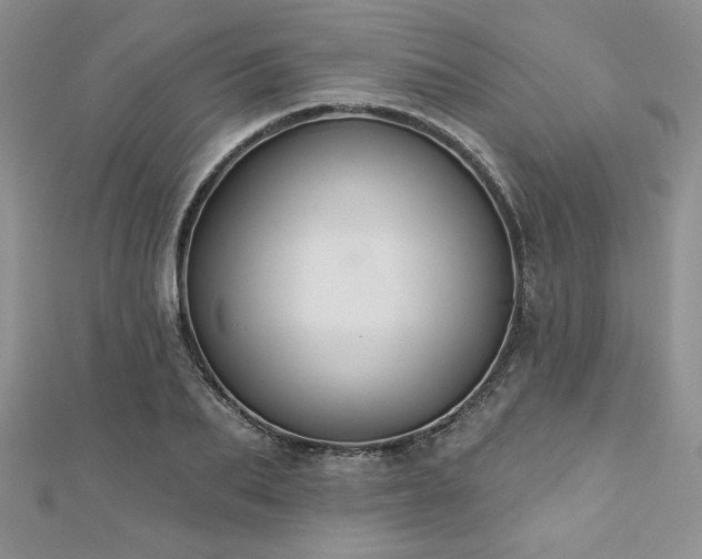 X0000113180887200909041341
