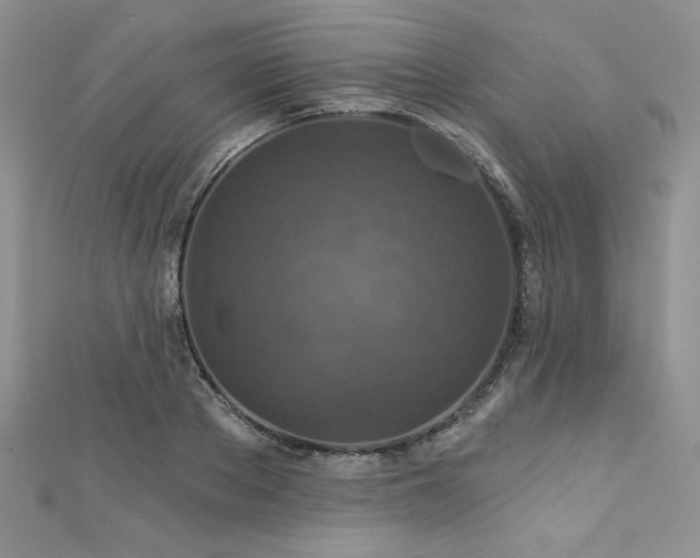 X0000113180889200909041341