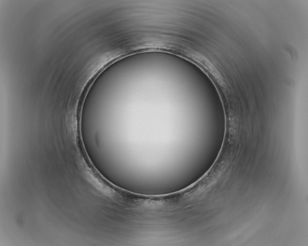X0000113180890200909041341