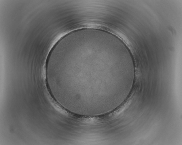 X0000113180891200909041341