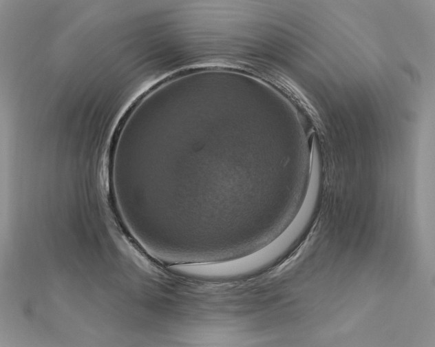 X0000113180892200909041340