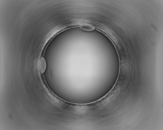 X0000113180893200909041340
