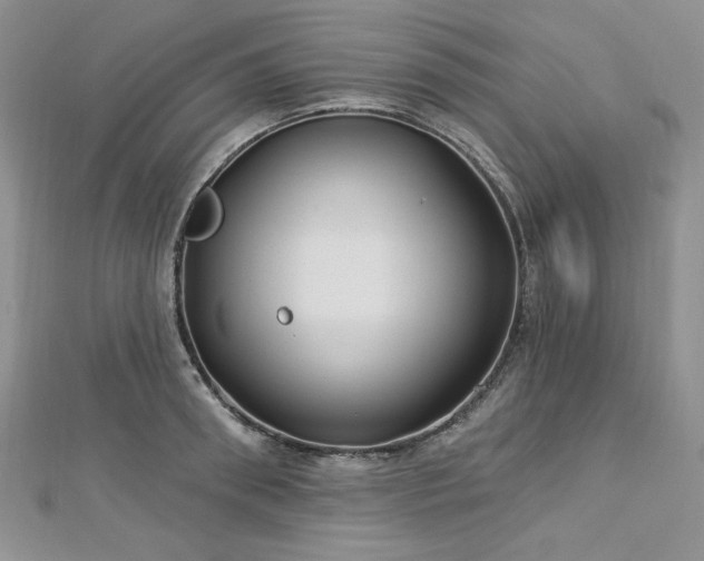 X0000113180898200909041340