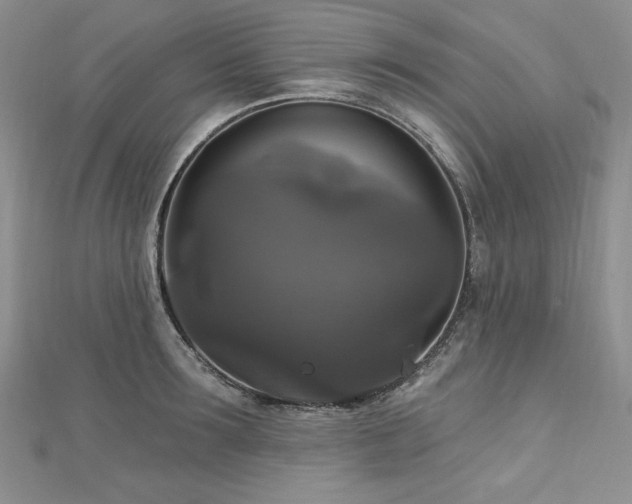 X0000113180899200909041340