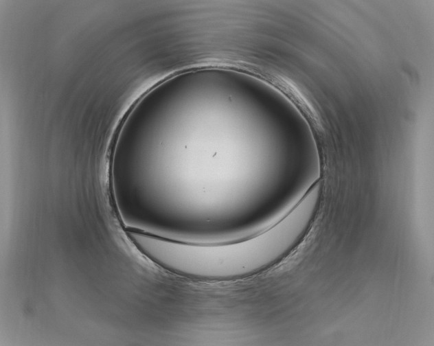 X0000113180900200909041340