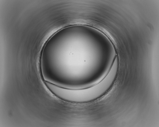X0000113180901200909041340