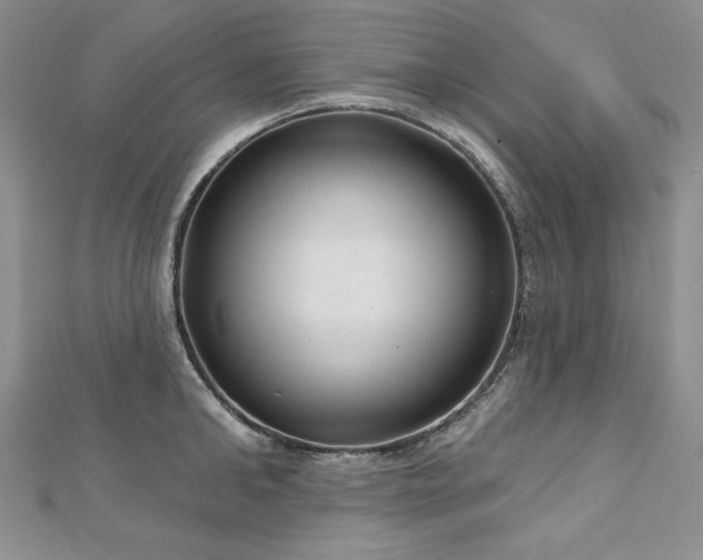 X0000113180902200909041340