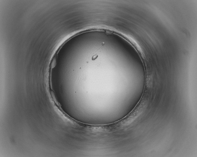 X0000113180903200909041340
