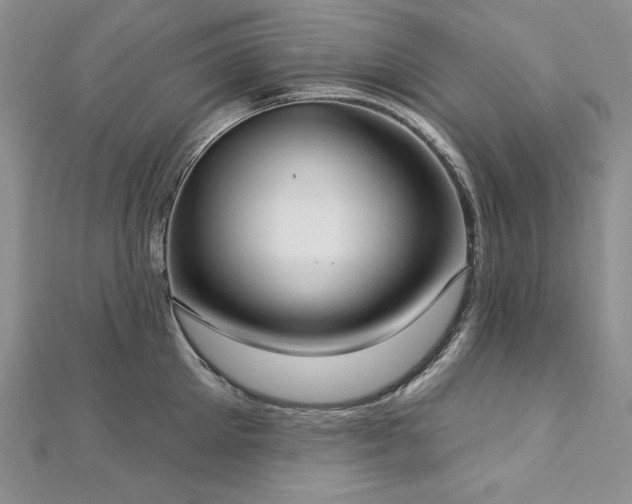 X0000113180905200909041340
