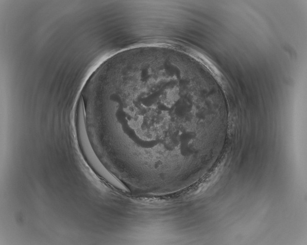 X0000113180907200909041340