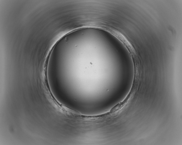 X0000113180908200909041340