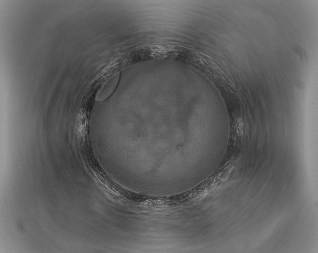 X0000113180914200909041340