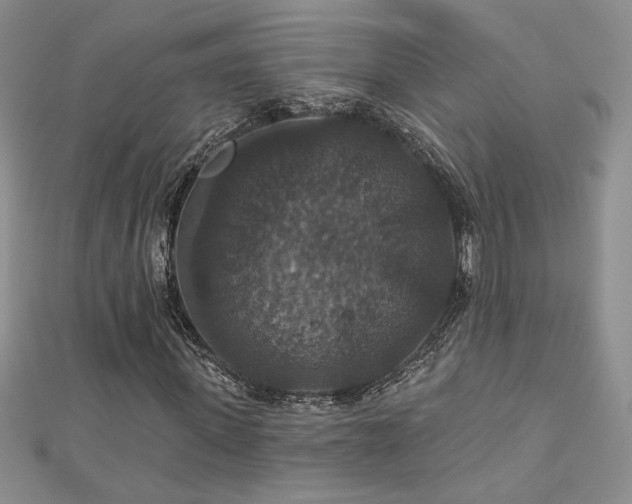 X0000113180915200909041340