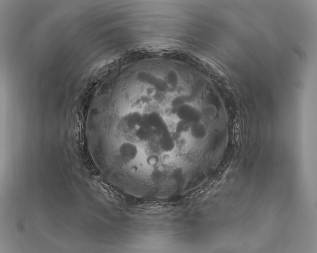X0000113180917200909041340