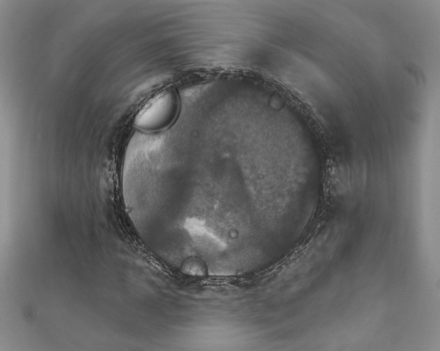 X0000113180918200909041340