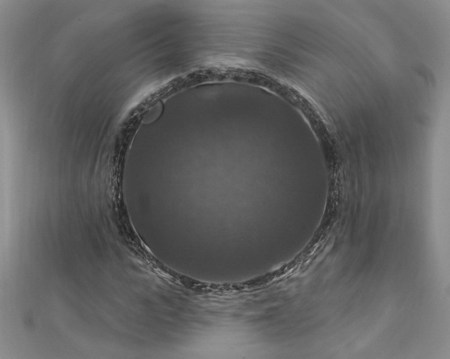 X0000113180919200909041340