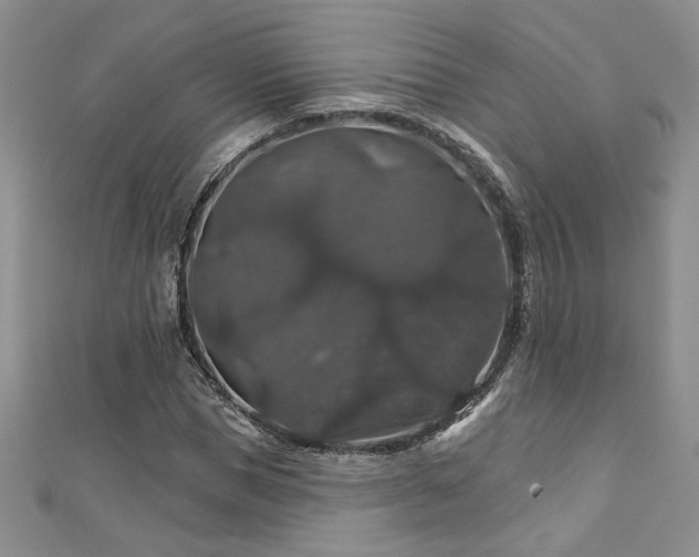 X0000113180921200909041340