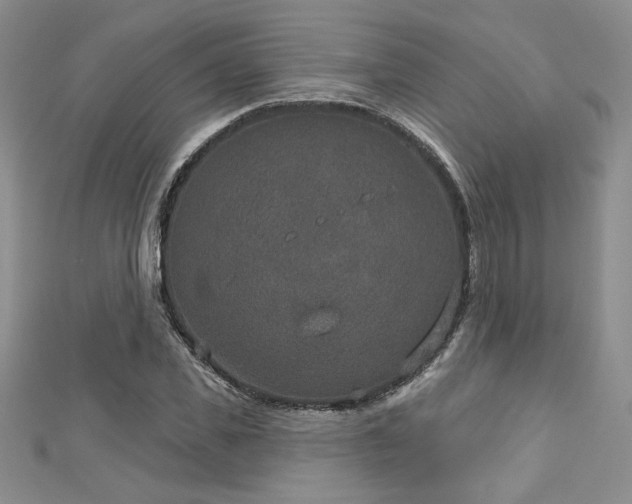 X0000113180925200909041340