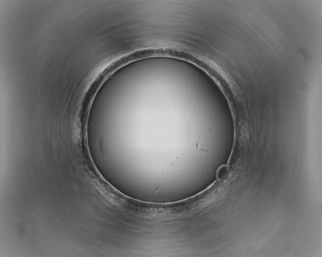 X0000113180927200909041340
