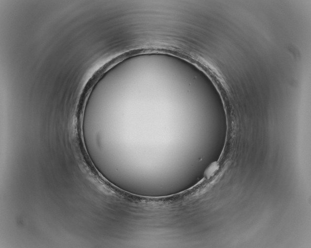 X0000113180928200909041340