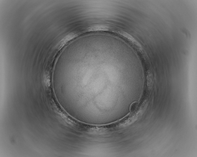X0000113180929200909041340