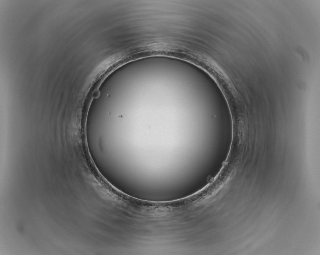 X0000113180930200909041340