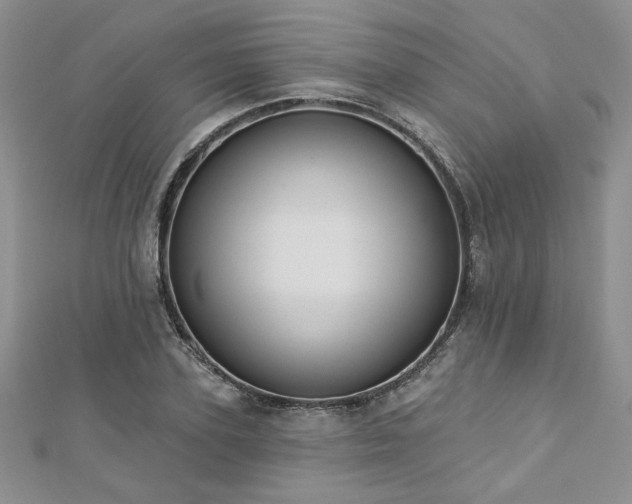 X0000113180931200909041340