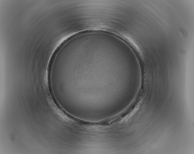 X0000113180932200909041340