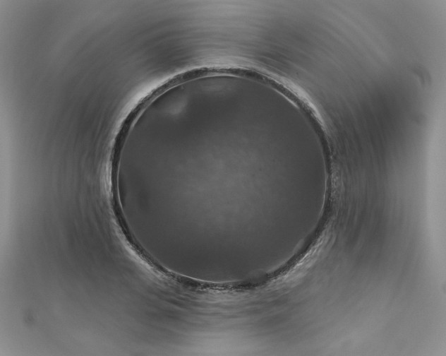 X0000113180935200909041340