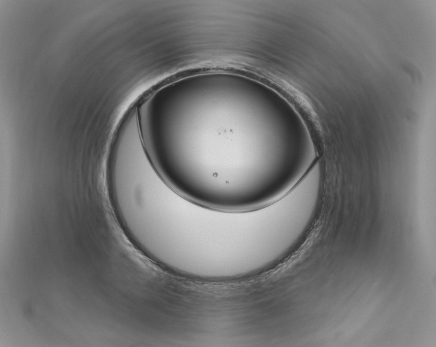 X0000113180936200909041340
