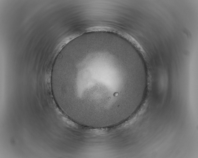 X0000113180937200909041340