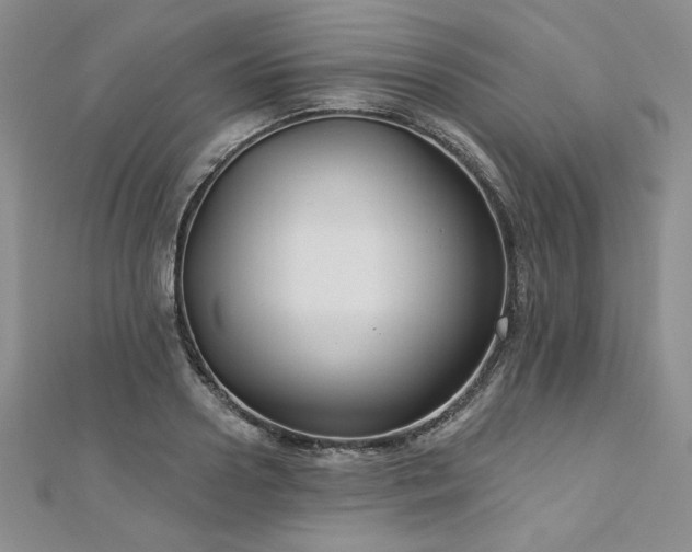 X0000113180938200909041340