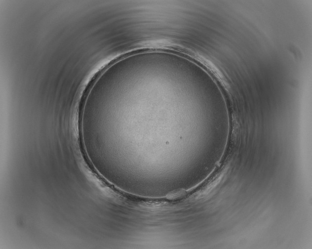 X0000113180939200909041340