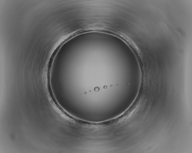 X0000113180941200909041340