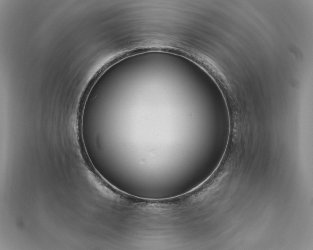 X0000113180942200909041340