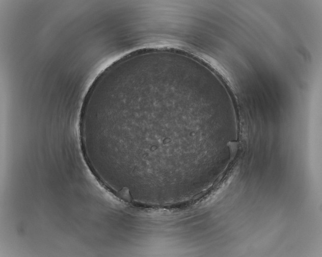 X0000113180943200909041340